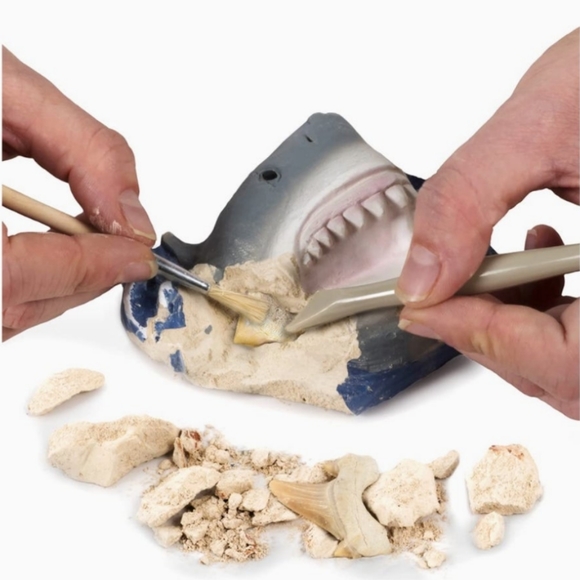 Shark Tooth Dig Kit - Picture 5 of 5